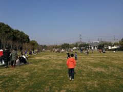 -昆山城市生态森林公园