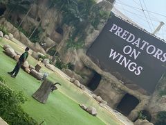 -新加坡飞禽公园