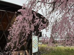 -轻井泽王子购物广场