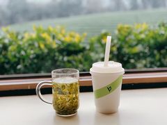 -白茶原·一片叶子