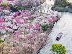 -西溪国家湿地公园