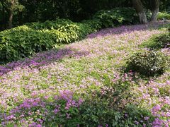 -上海市保健医疗中心(华东疗养院)