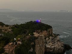-杨梅坑