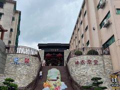 -广州神农草堂中医药博物馆