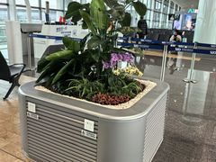 -青岛胶东国际机场