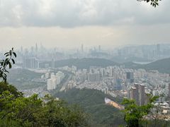 -梧桐山风景名胜区