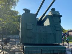 -吴淞炮台湾湿地森林公园烧烤区