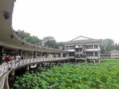 -荔湾湖公园