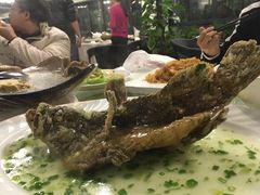 -岭南海晏楼(滨江东总店)