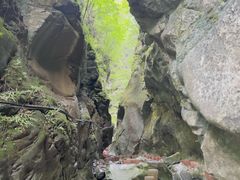 -黑河国家森林公园