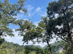 -泰山风景名胜区