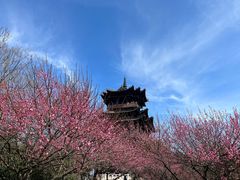 -杭州半山国家森林公园