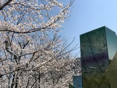 -龙美术馆西岸馆-停车场