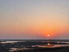 -盐城丹顶鹤湿地生态旅游区