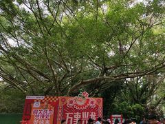 -海南热带野生动植物园