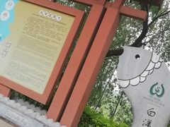 -白洋淀景区