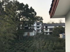 -西湖茶墅