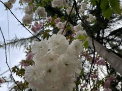 -西安市长乐公园