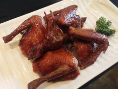脆皮乳鸽-新南华大酒店(广中店)