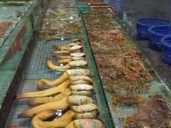 -新海利海鲜城·41年珠海老字号(夏湾店)