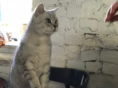 -不舍昼夜咖啡馆