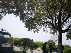 -南京市江宁方山