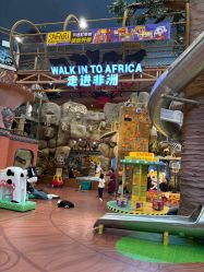 -卡通尼·Safari非洲探索乐园·生日会(金桥国际商业广场店)
