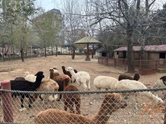 -大连森林动物园