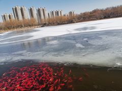 -燕郊植物园