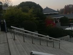 -东湖磨山景区