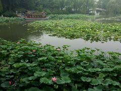 android_upload_pic-紫竹院公园冰场