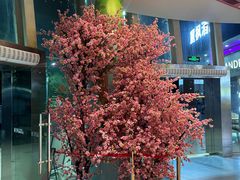 -优托邦(长兴路店)