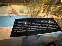 -巴音郭楞蒙古自治州博物馆
