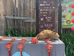 -清风小镇闯关东影视基地