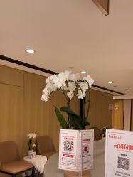 -广东韩妃整形外科医院