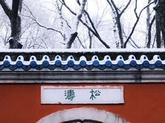 -灵谷景区