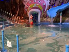 -烟台海昌鲸鲨海洋公园