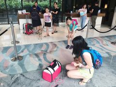 -上海崇明金茂凯悦酒店