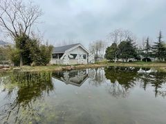-金银湖国家城市湿地公园