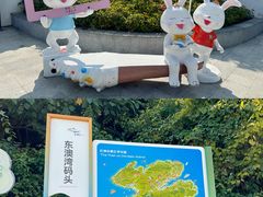 -东澳岛