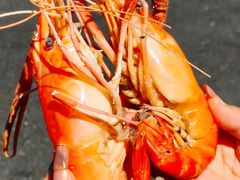 -品鲜村农家菜·阳澄湖大闸蟹(总店)