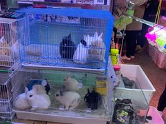 -双季花艺园艺市场(浦东店)