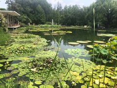 -国家植物园南园