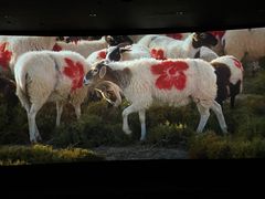 -CGV影城(蓬江IMAX店)