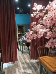 -星豆豆儿童摄影(南郊太白南路店)