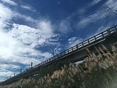 -瑞穗牧场