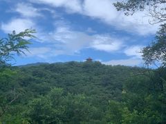 -白水寺森林公园