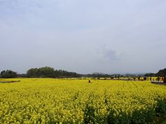 -灵山景区梯田