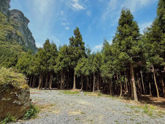 -重庆睡佛山森林公园
