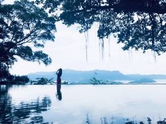 -大埔公路-马料水段香港中文大学(公交站)